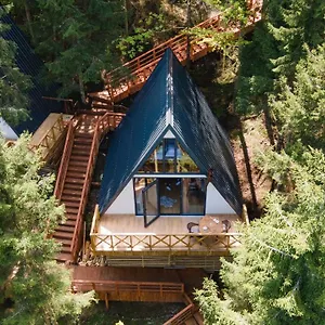 Montana , ترابزون تركيا