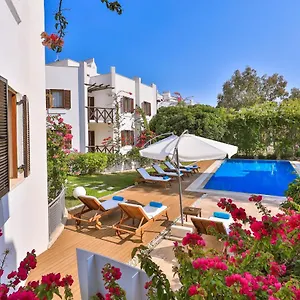 book here